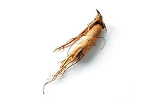 ginseng